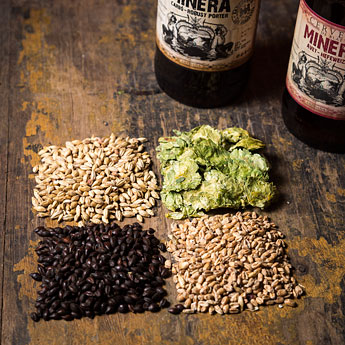 cerveza_ripolles